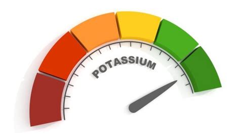 k lab values|how to check potassium levels.